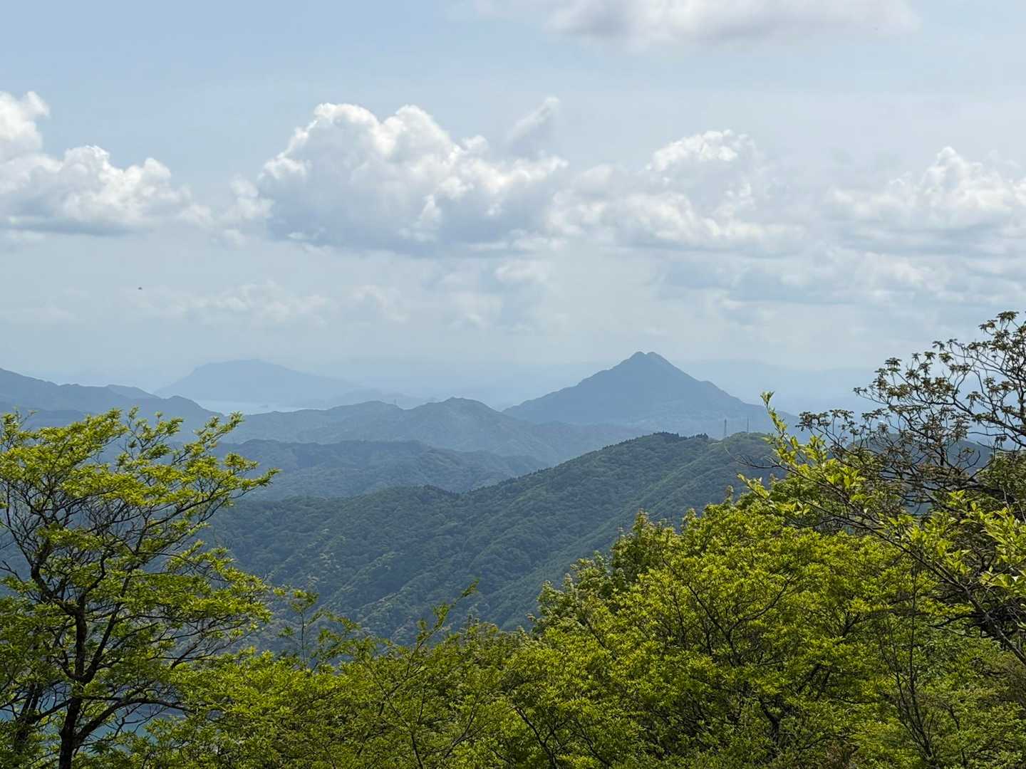 青葉山　クッキリ🩵