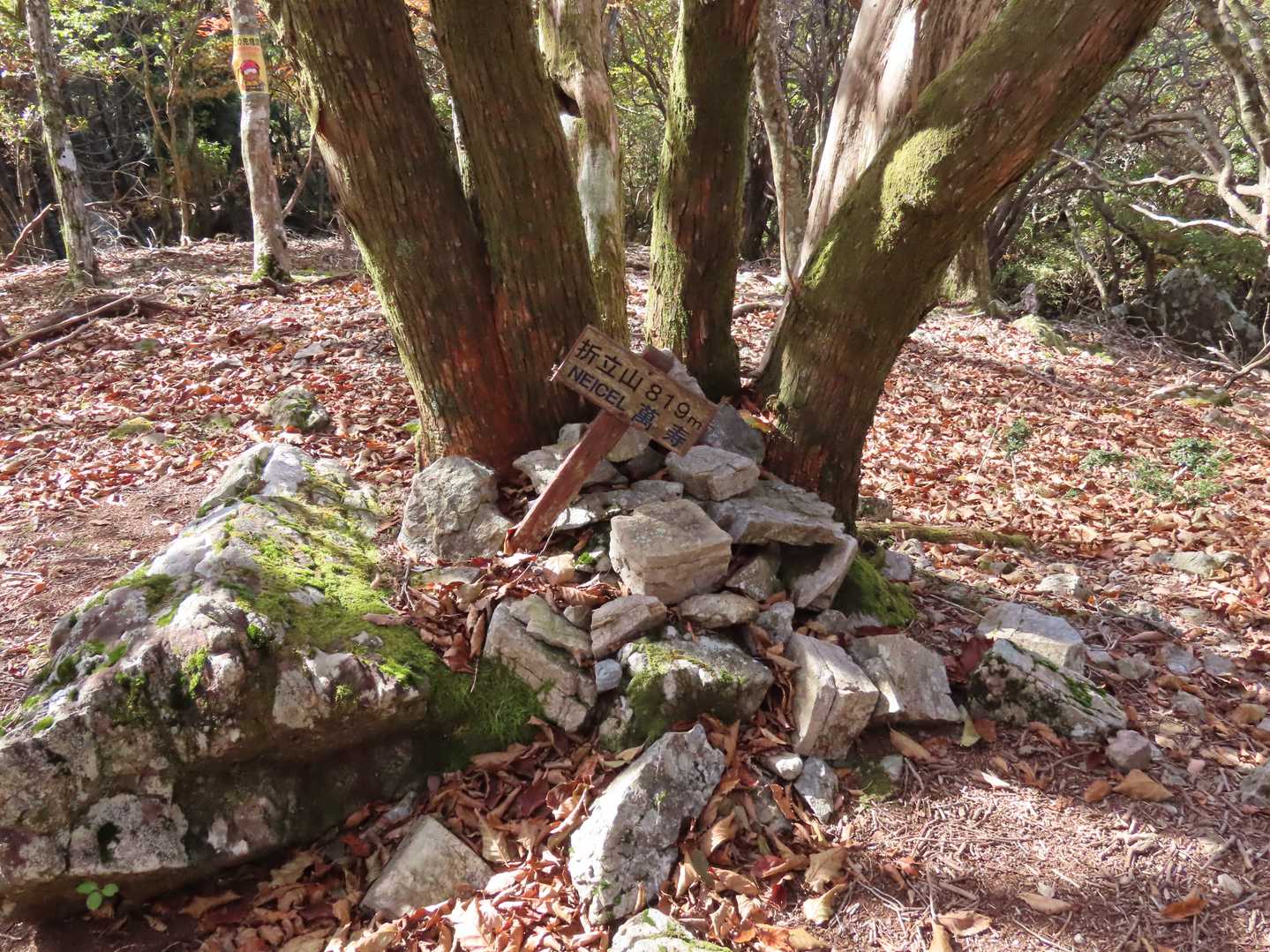 折立山山頂トウチャコ✋
眺望はありません😢