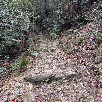 道は以前に整備されてそのままな感じ