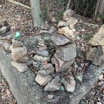 安定のケルンと🐸