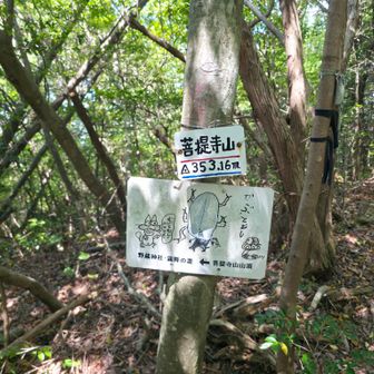 菩提寺山山頂