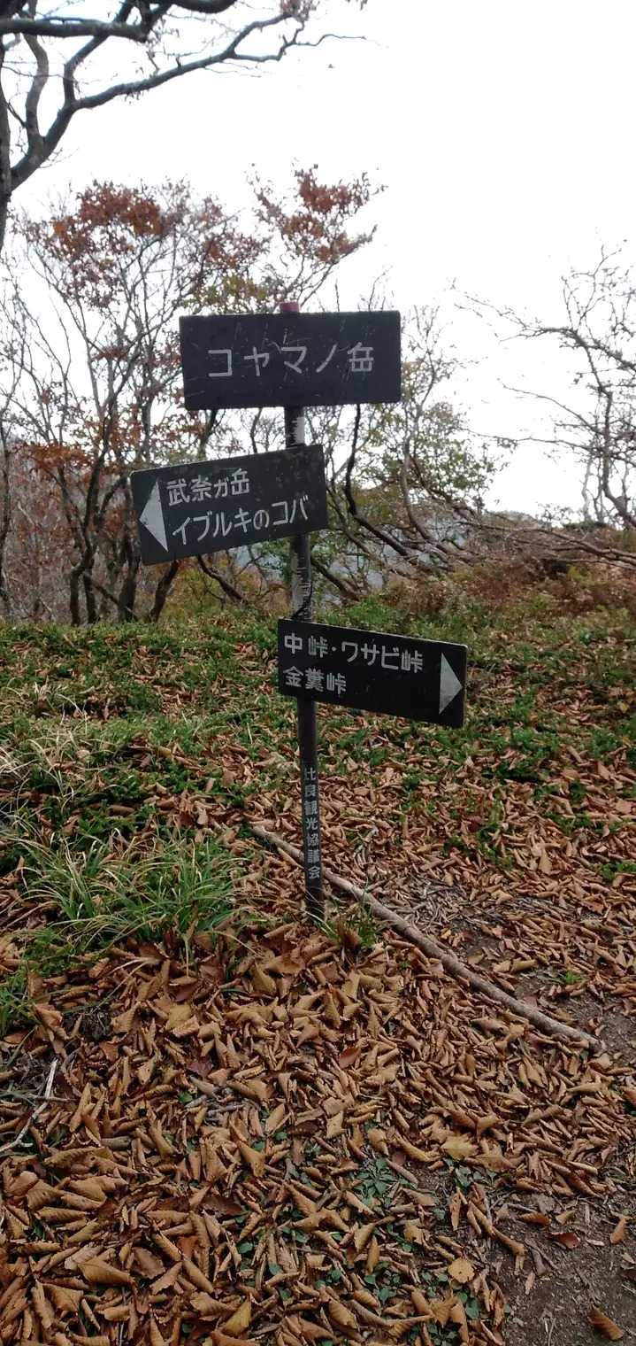 コヤマノ岳の写真