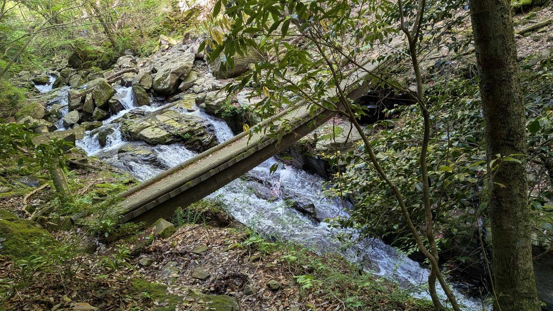 この橋、揺れる。縦揺れ😨