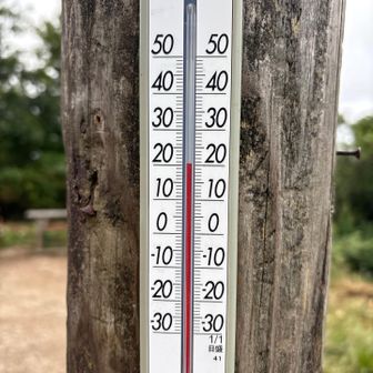 意外にも、山頂も20℃
その割には滝汗ですが。