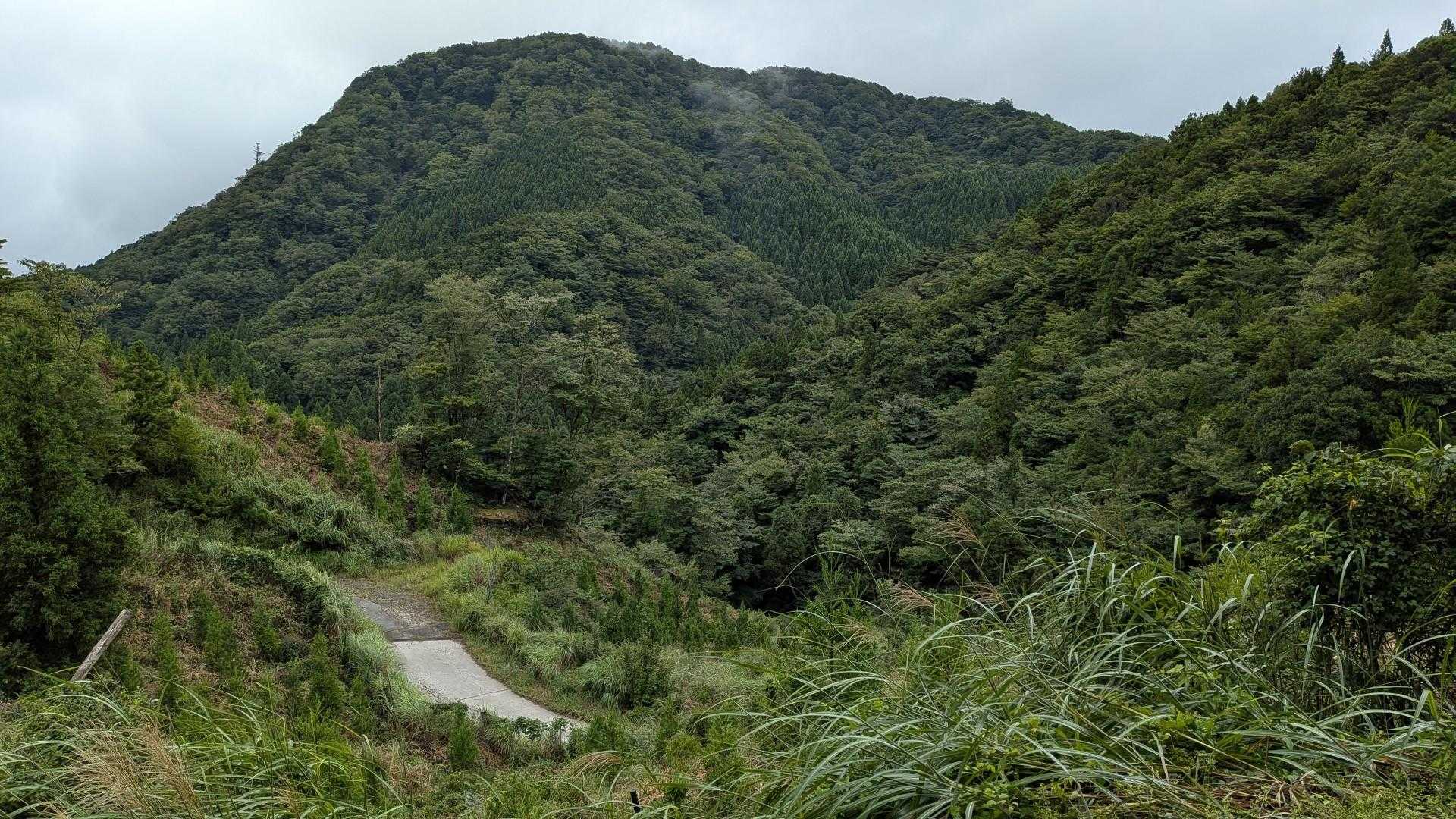 振り返る。

大黒山？違うか？