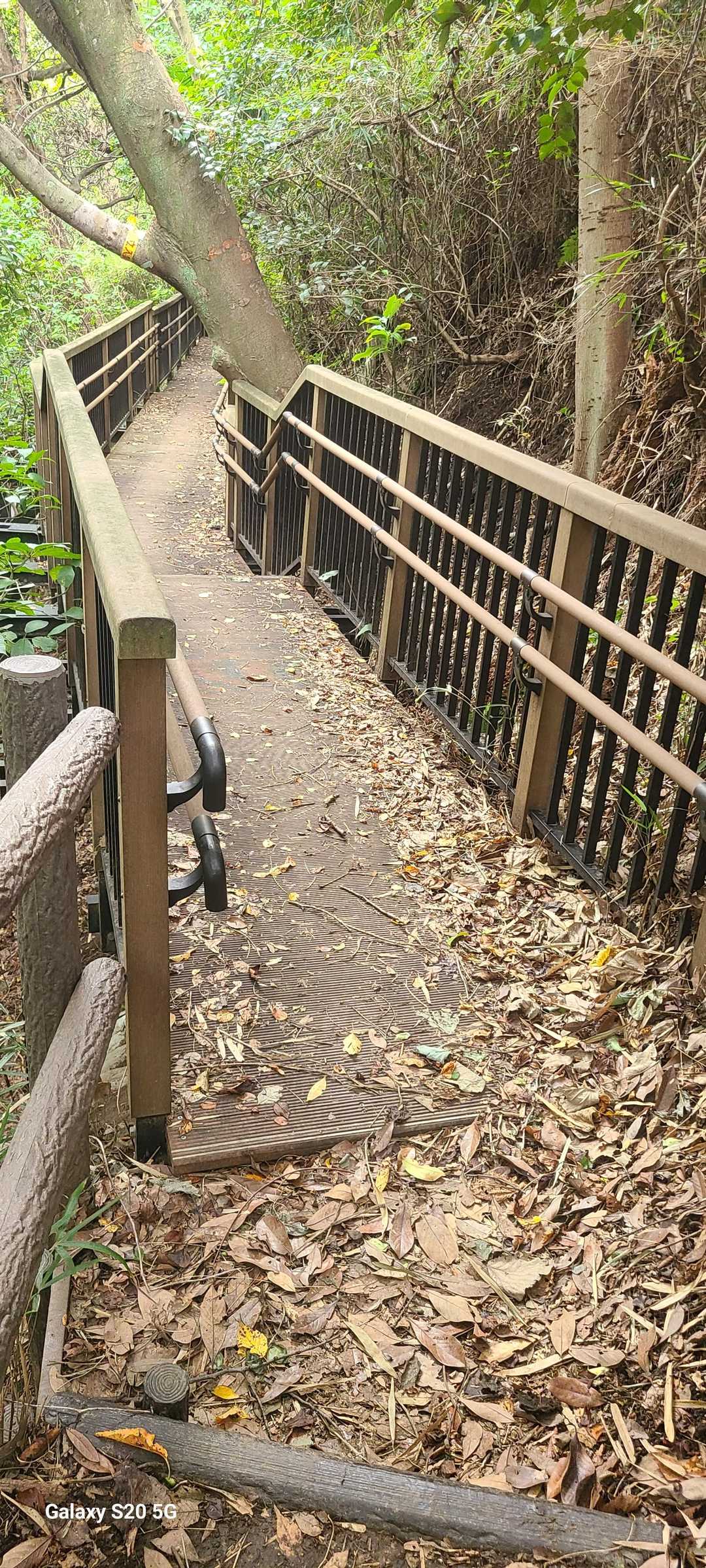 ちゃんと橋もある😊
