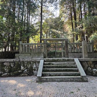 ひっそりとしていました　🙏🏻