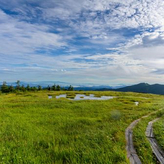 ここが山頂
奥にベンチがあって池塘の周りをグルっと周回できる