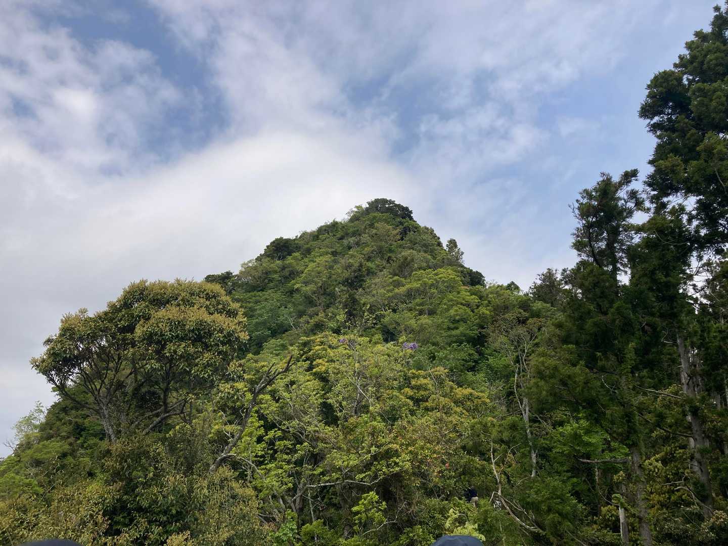南峰手前で怪我され動けなくなった方がいると救助隊の方から知らされ、
北峰から南峰へ向かう周回コースに変更しました