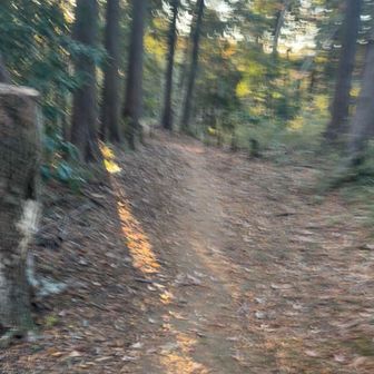 🏃‍♀️💨ぶれてます