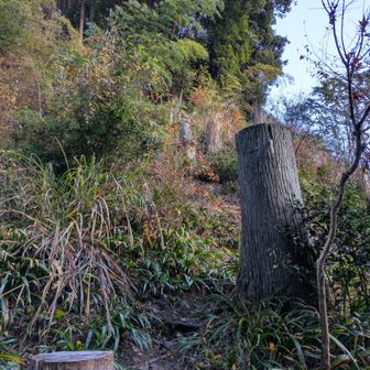 最初はワイルドな急斜面