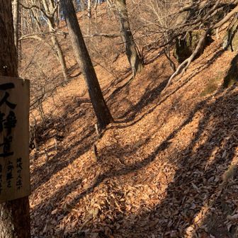 一人静道は本当に静か(^^)春にはヒトリシズカがさきみだれる道なのかな？