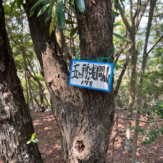 五カ所浅間山⛰️