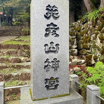 このフォントいいよね🫶🏼