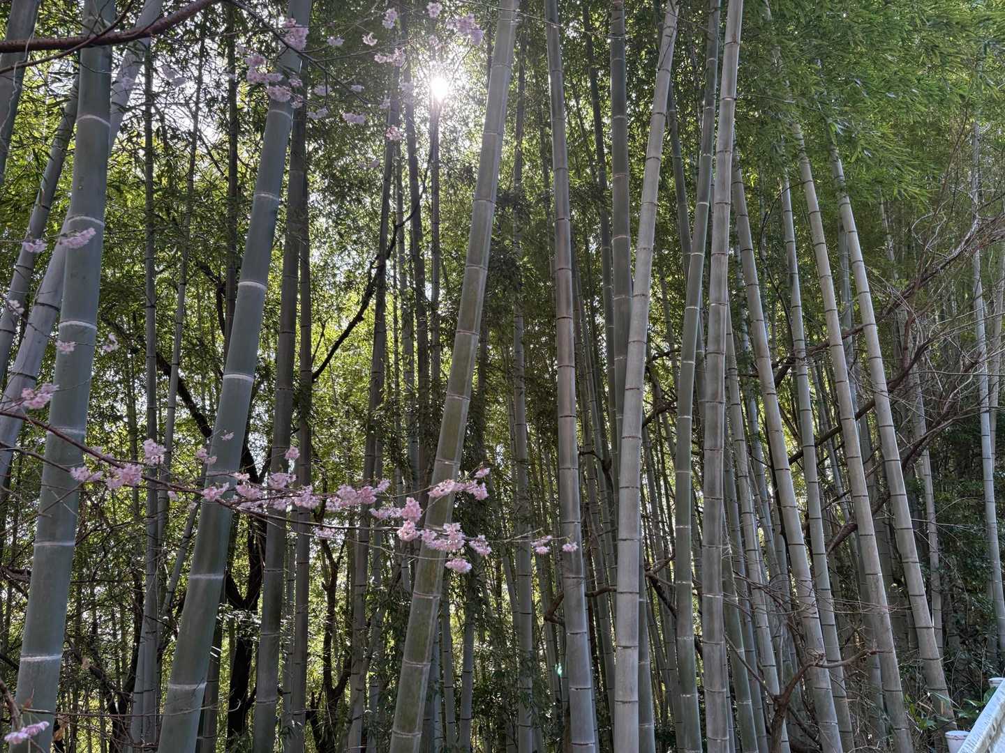 これも良き♡