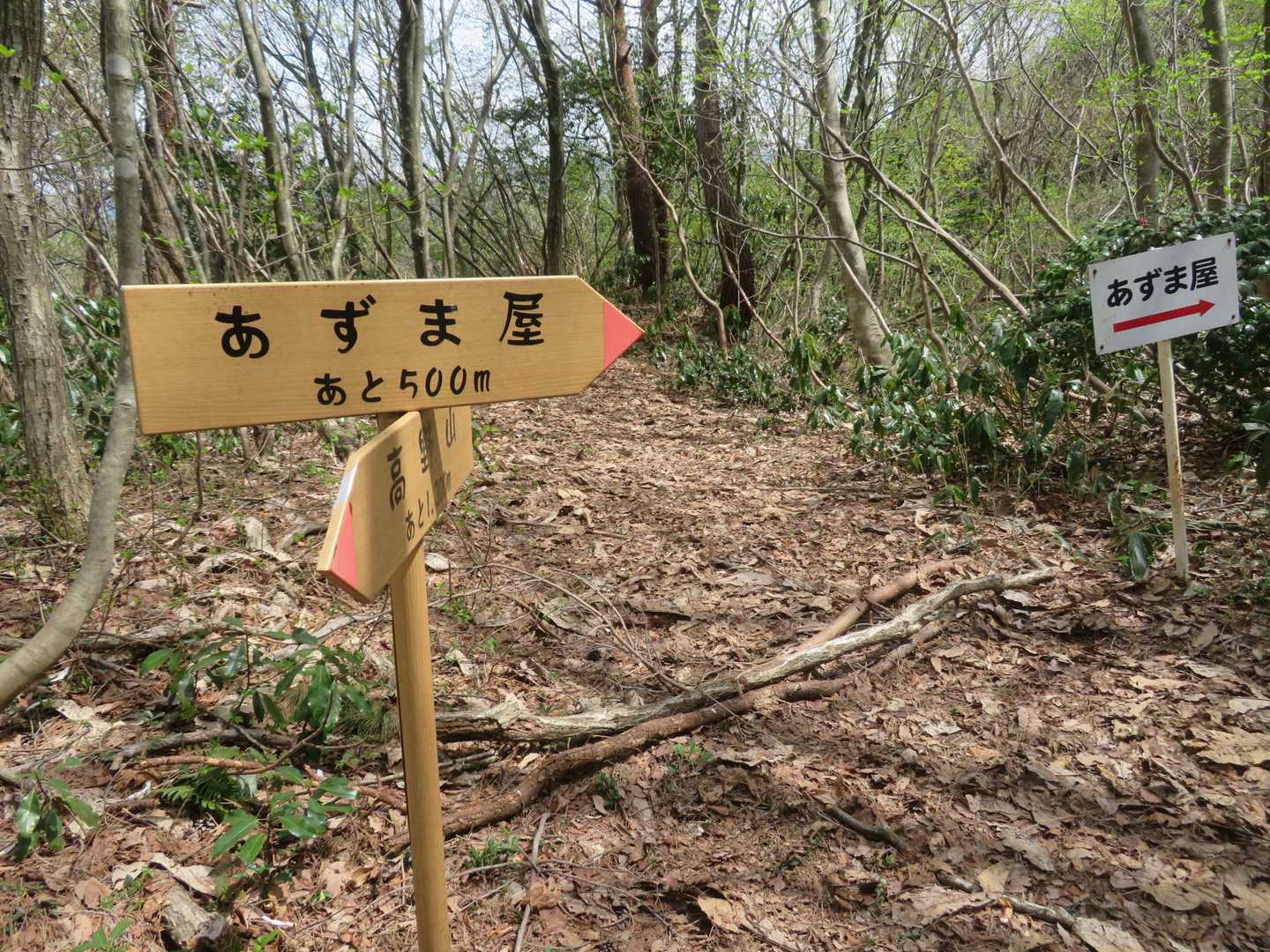 あずま屋に向かいます。あと500mが意外と長い💦