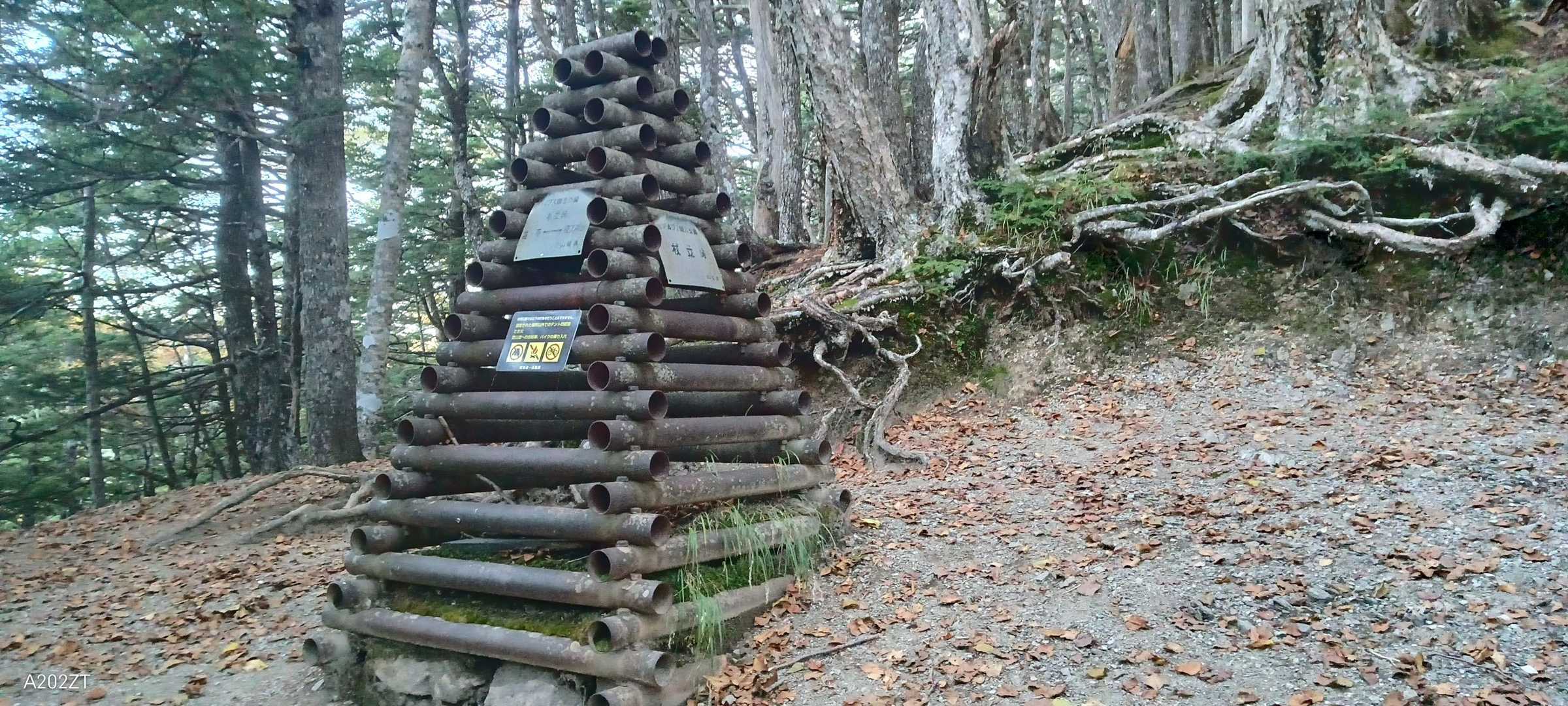 ここまでは割と急登でした
