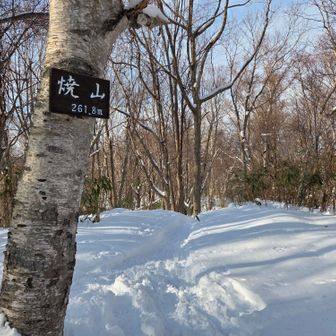 登頂方向の眺望