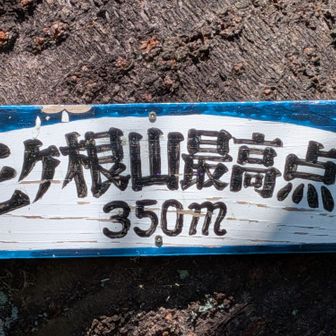 三ヶ根山最高点登頂☺️