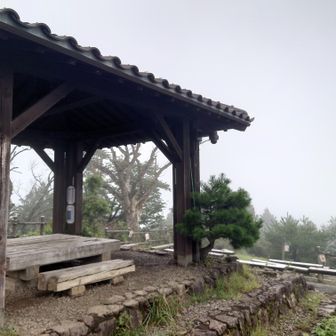 日の出山山頂
なにも見えません