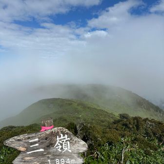 天狗平まで行こかなーってちょっと考えたけど、
ガスってるし天気も良くわからんので今回はパス