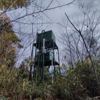 現役で木々に囲まれているのがちょっと良い