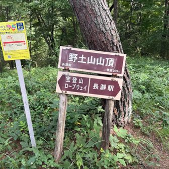 途中寄り道して野土山の山頂⛰️