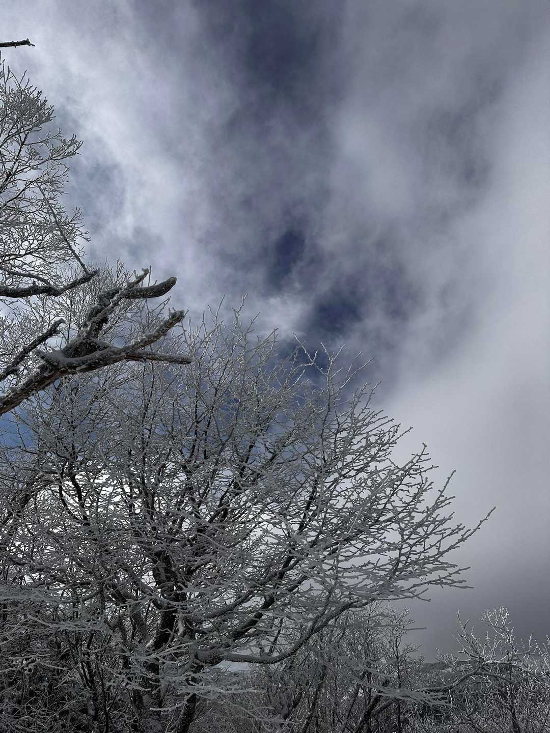 青空🟦見えてきた