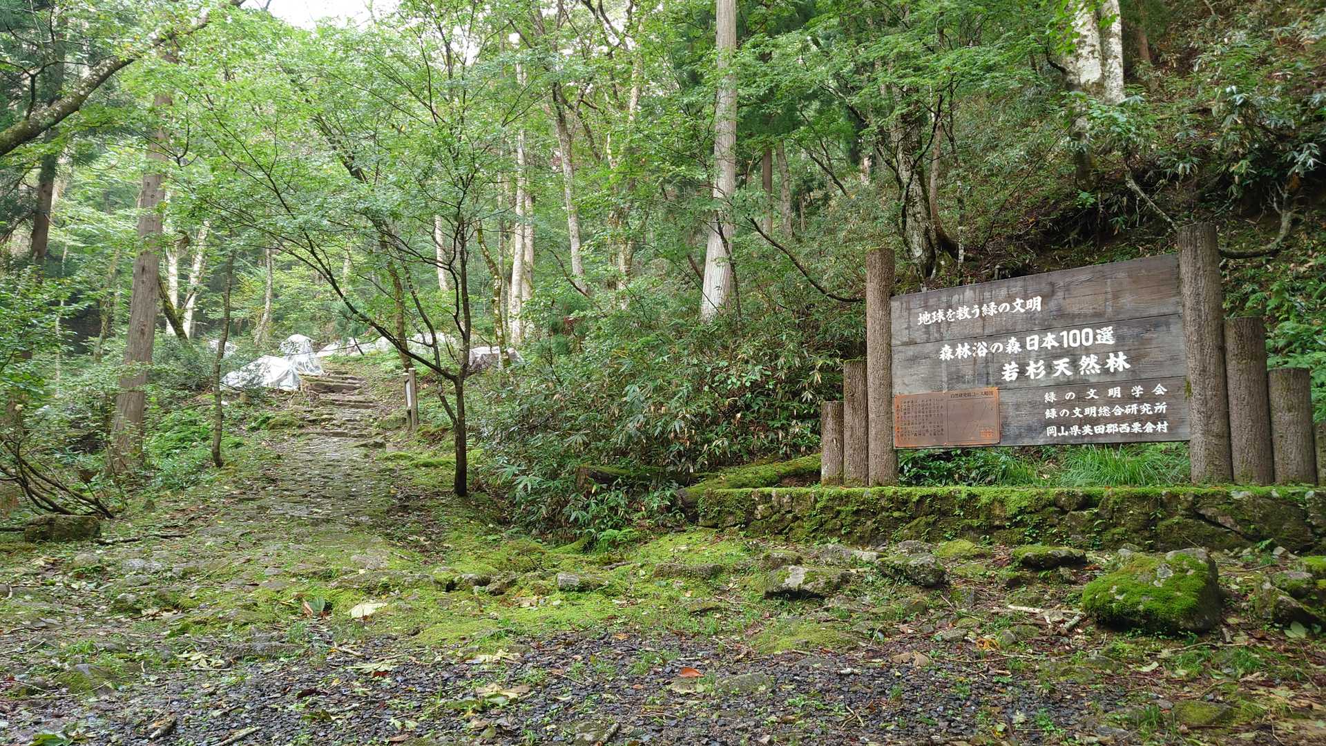大きな看板にワクワクしてしまいます。