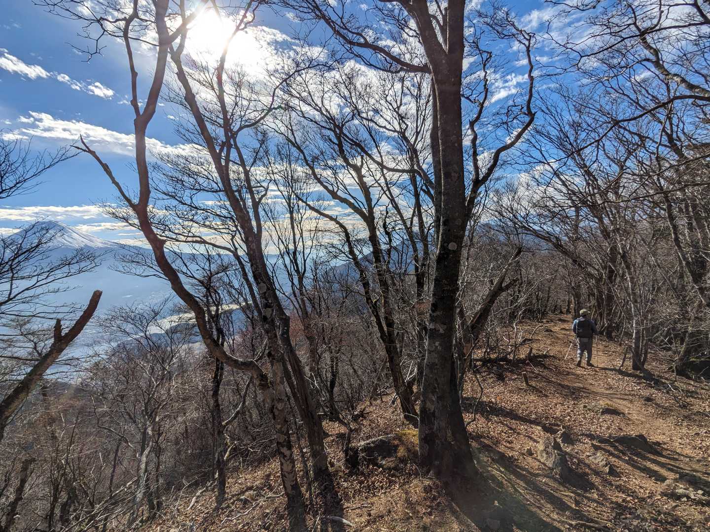 左手にはずっと富士山
気持ち良すぎてずっと歩ける気になる
