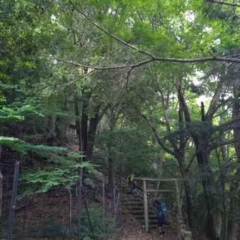 札掛の神社⛩️に寄って