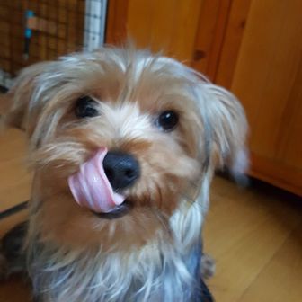 ひろ