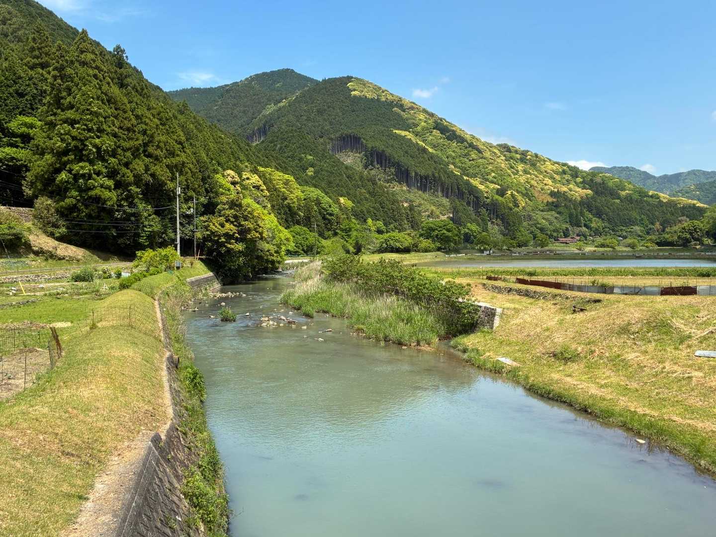 大田川と権現山⛰️
眺望なしだけど急登好きにはよきお山でした👏
(いつから急登好きになったの……🤔)