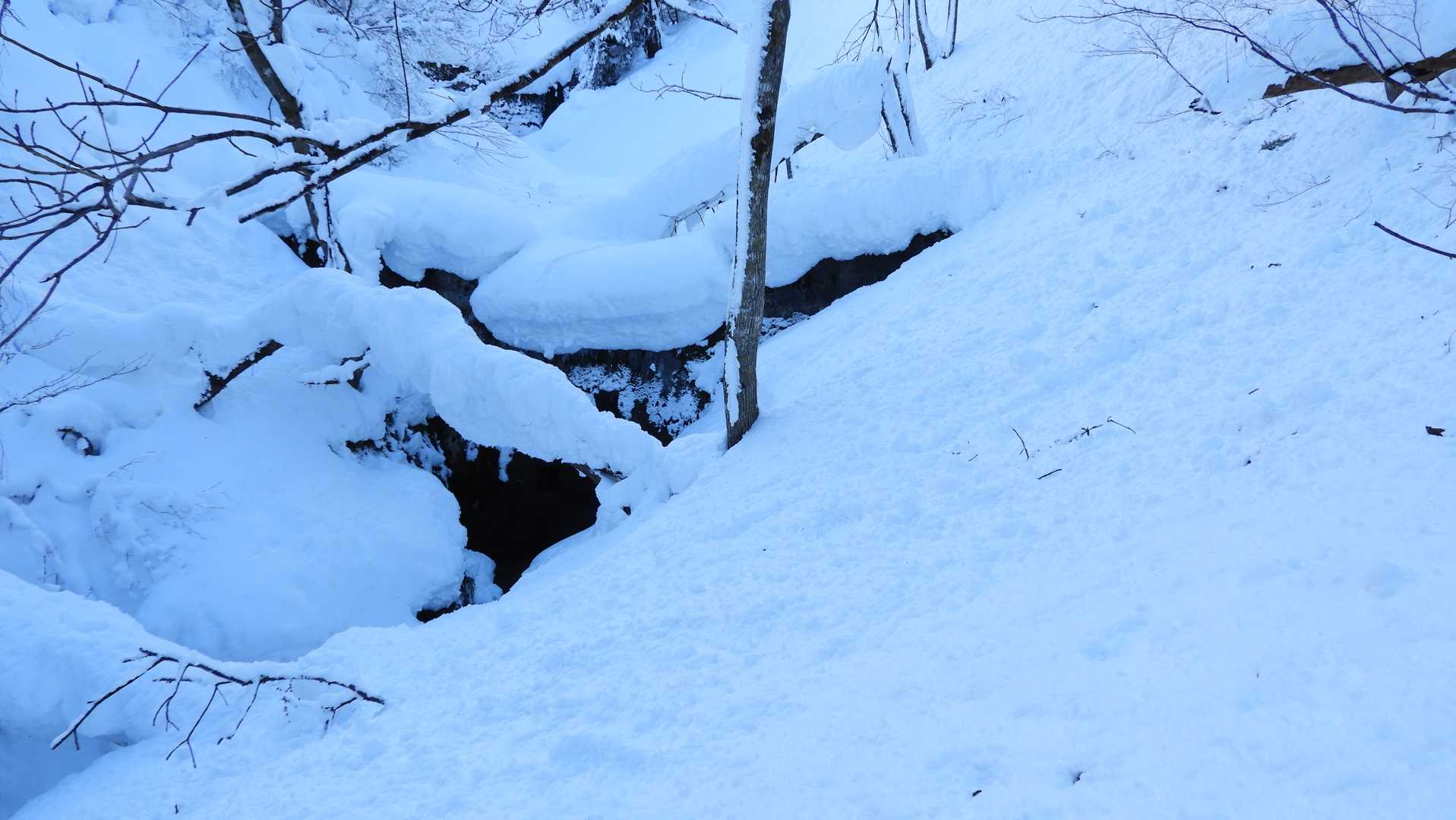 試行錯誤しながら黒岩沢の砂防ダムの脇に下りました。旧地図では羽山旧参道はこの辺りから取り付いていますが、もうその面影は皆無です。