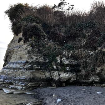 ロープがあり登れますが