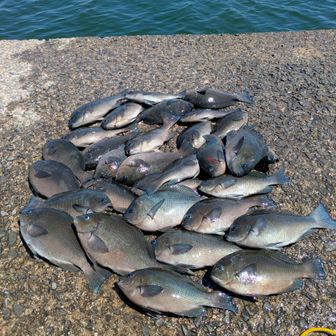 釣オヤジs