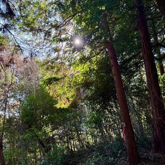 陽の光がありがたいです
