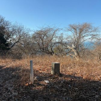 山頂到着

すぐ近くの木の低い枝から
赤茶色の大きな鳥が舞い上がり　
西の下の方に飛んでいって
あっという間に見えなくなった

その直後もう１羽が慌てて地面に降りて…