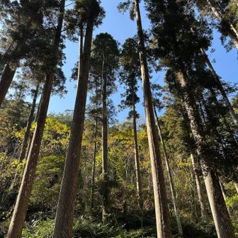 今日はここまで