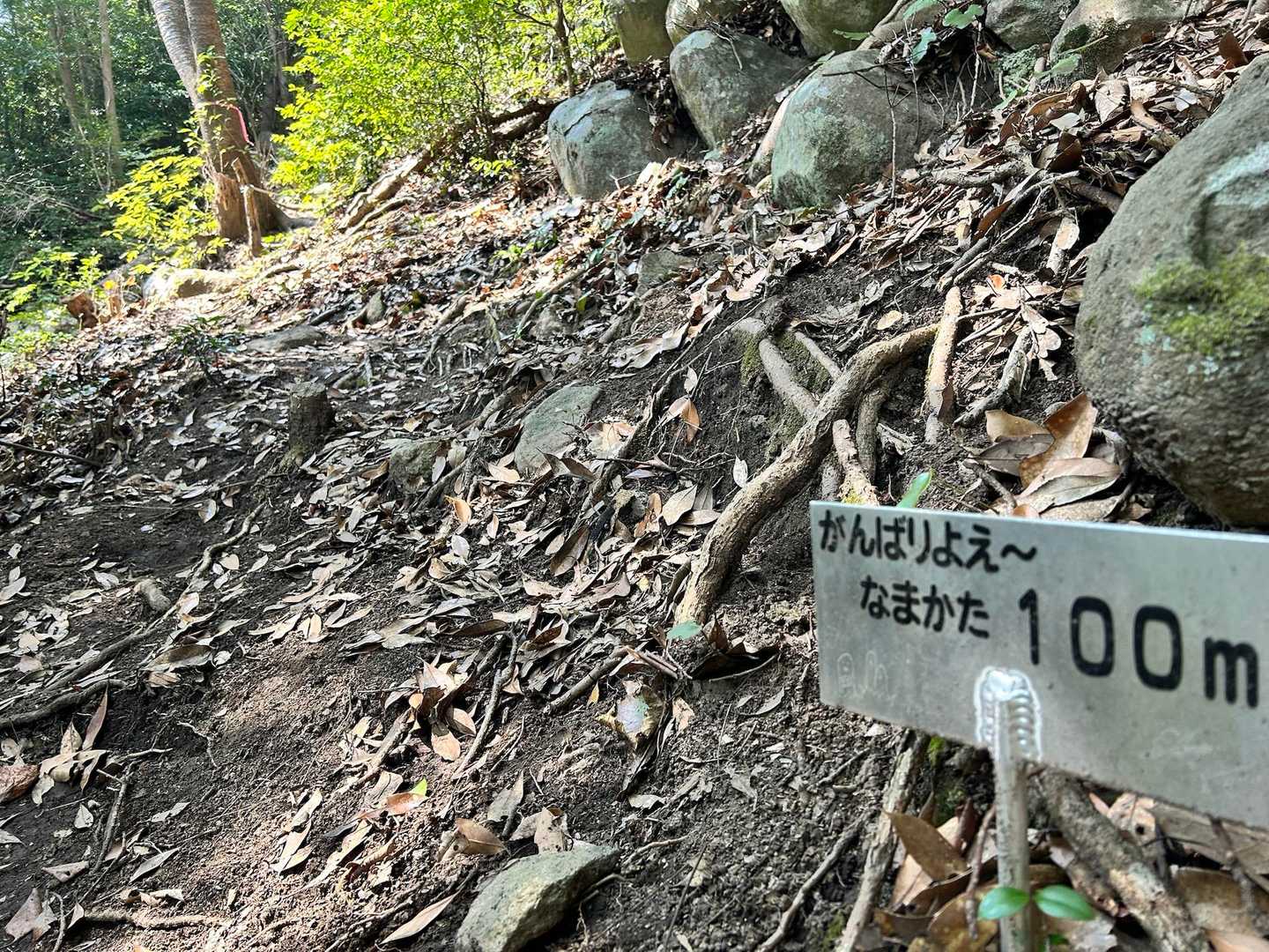 なまかた100m😂