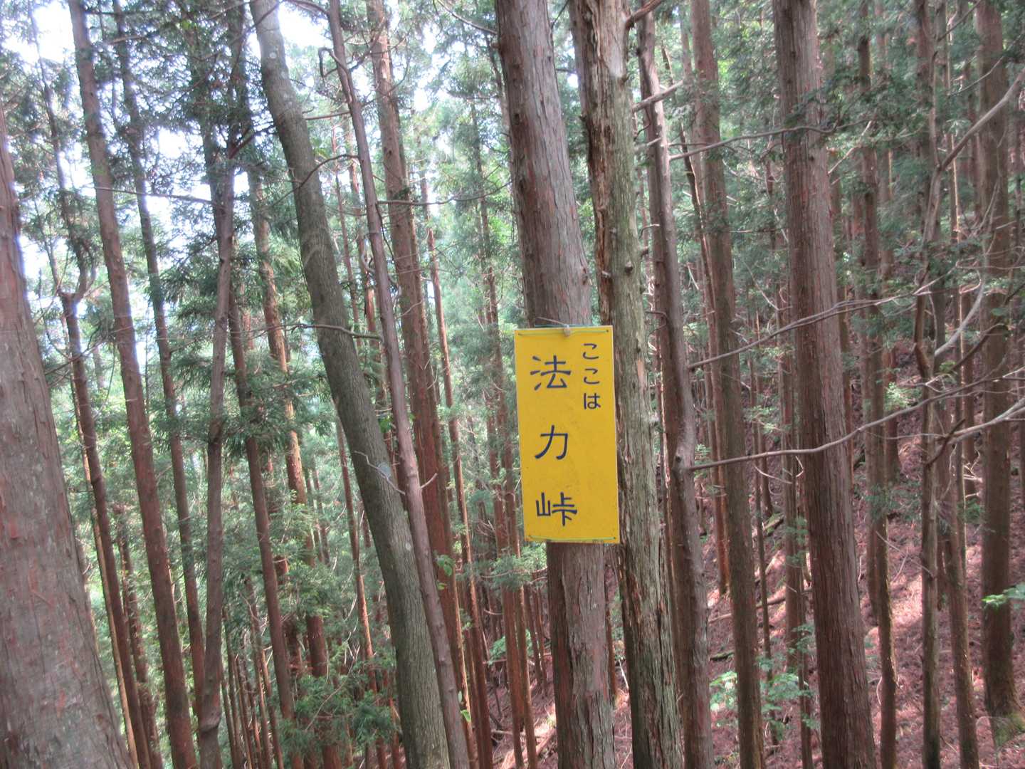洞川温泉に向かいます。