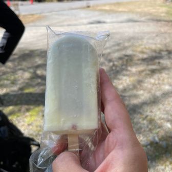 食べやすいサイズで助かりました🍨