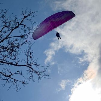 見上げるとパラグライダー