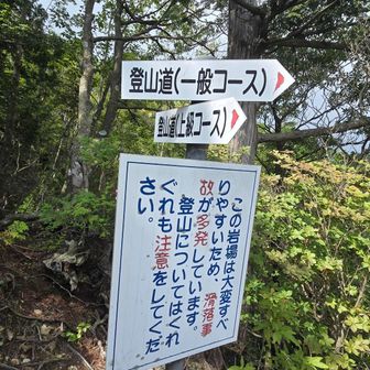 １０M位別道で下りますが直ぐに合流します。