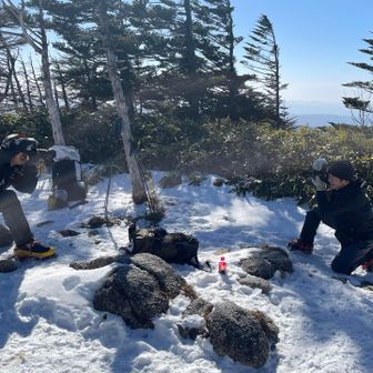 カメラマン撃ち合い