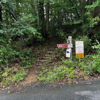 ゴルフ場への舗装路を超えてまた山に入り、しばらく登って