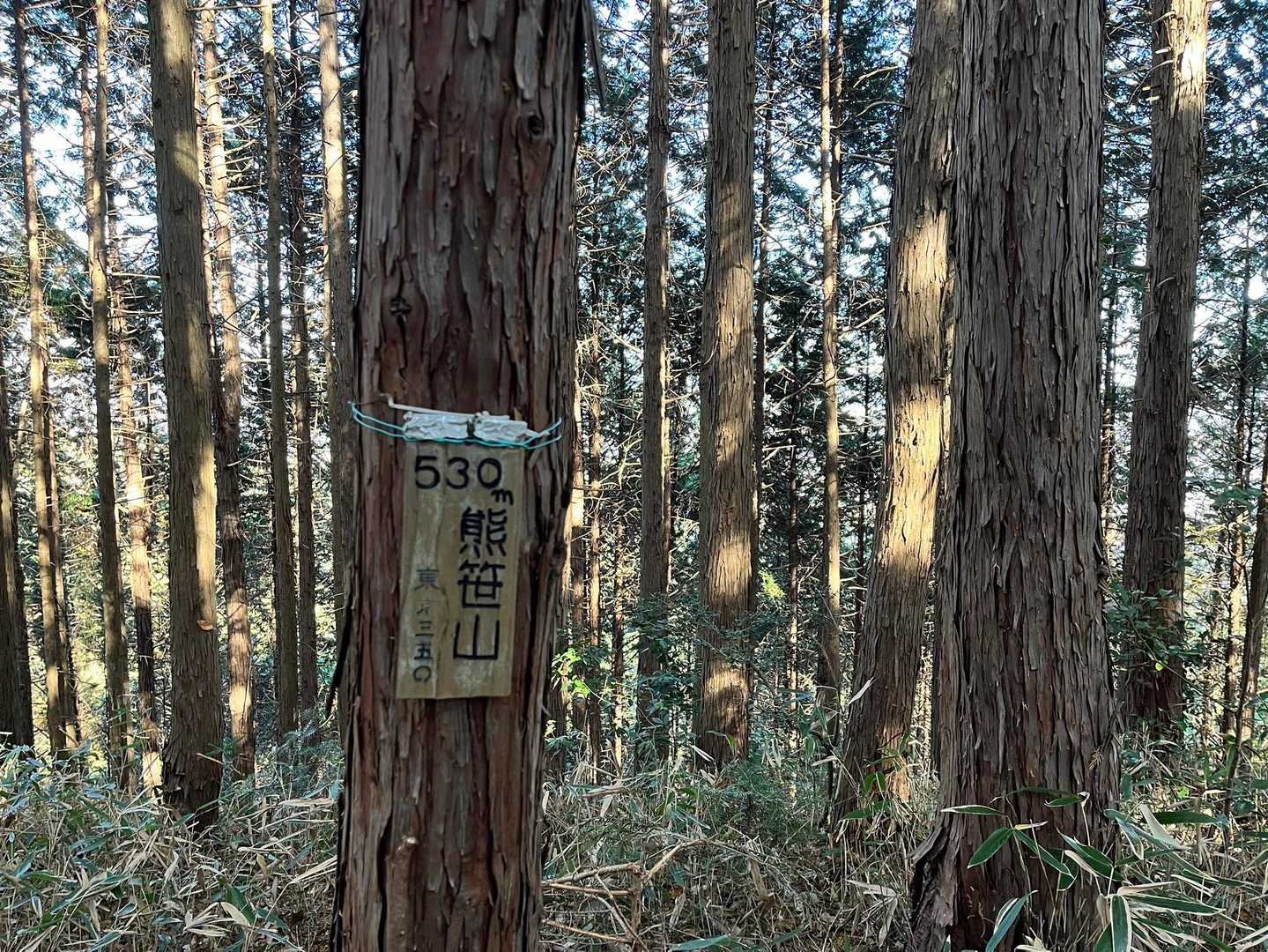 熊笹山山頂着。
山頂標識は注意しないと見逃すかも。
