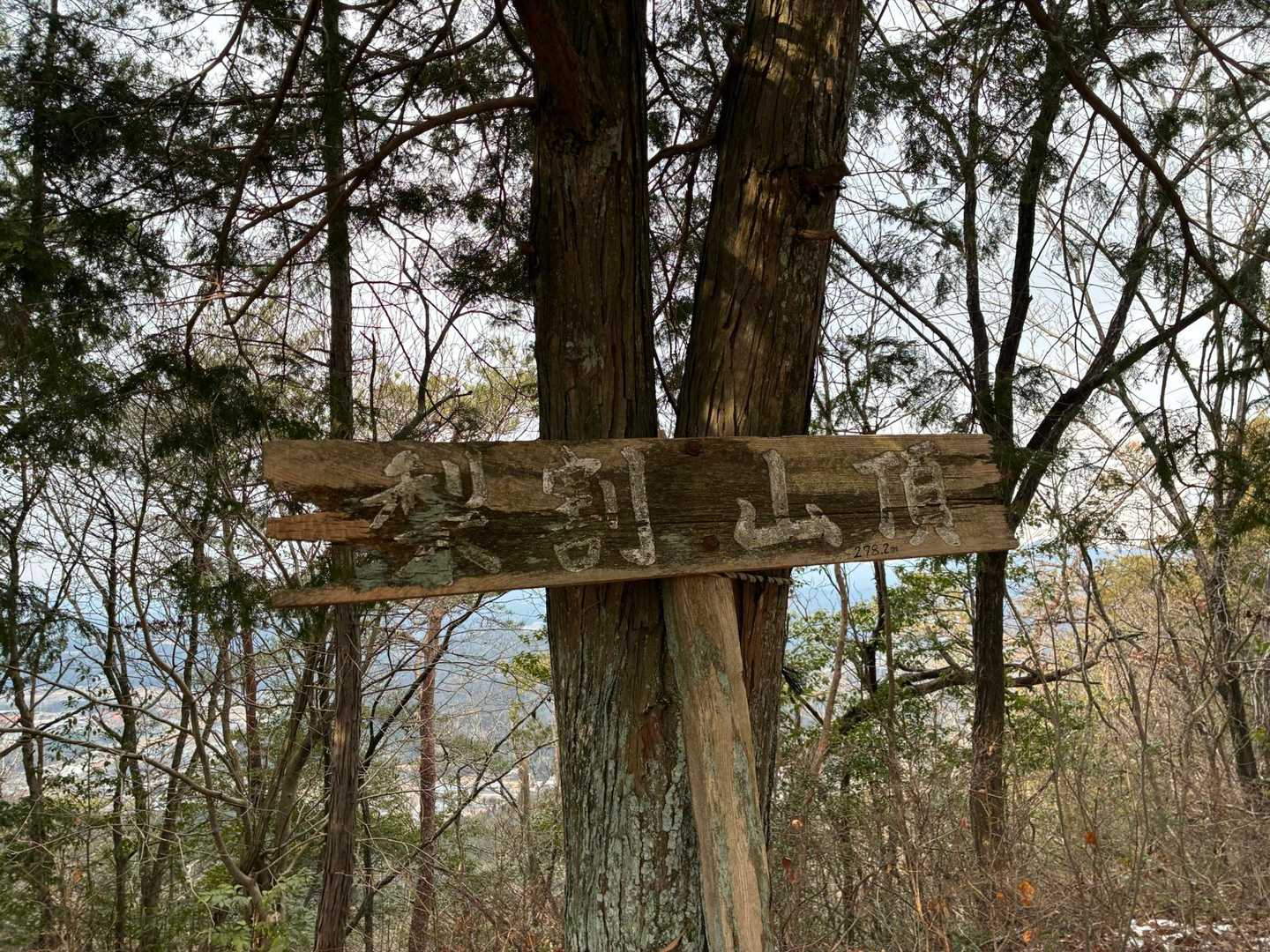 梨割山頂