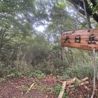 もみじ谷からどうやって沢行くか🤔って作戦会議
山頂には行かず、大日岳経由で、石ブテ尾根新道で下ることに