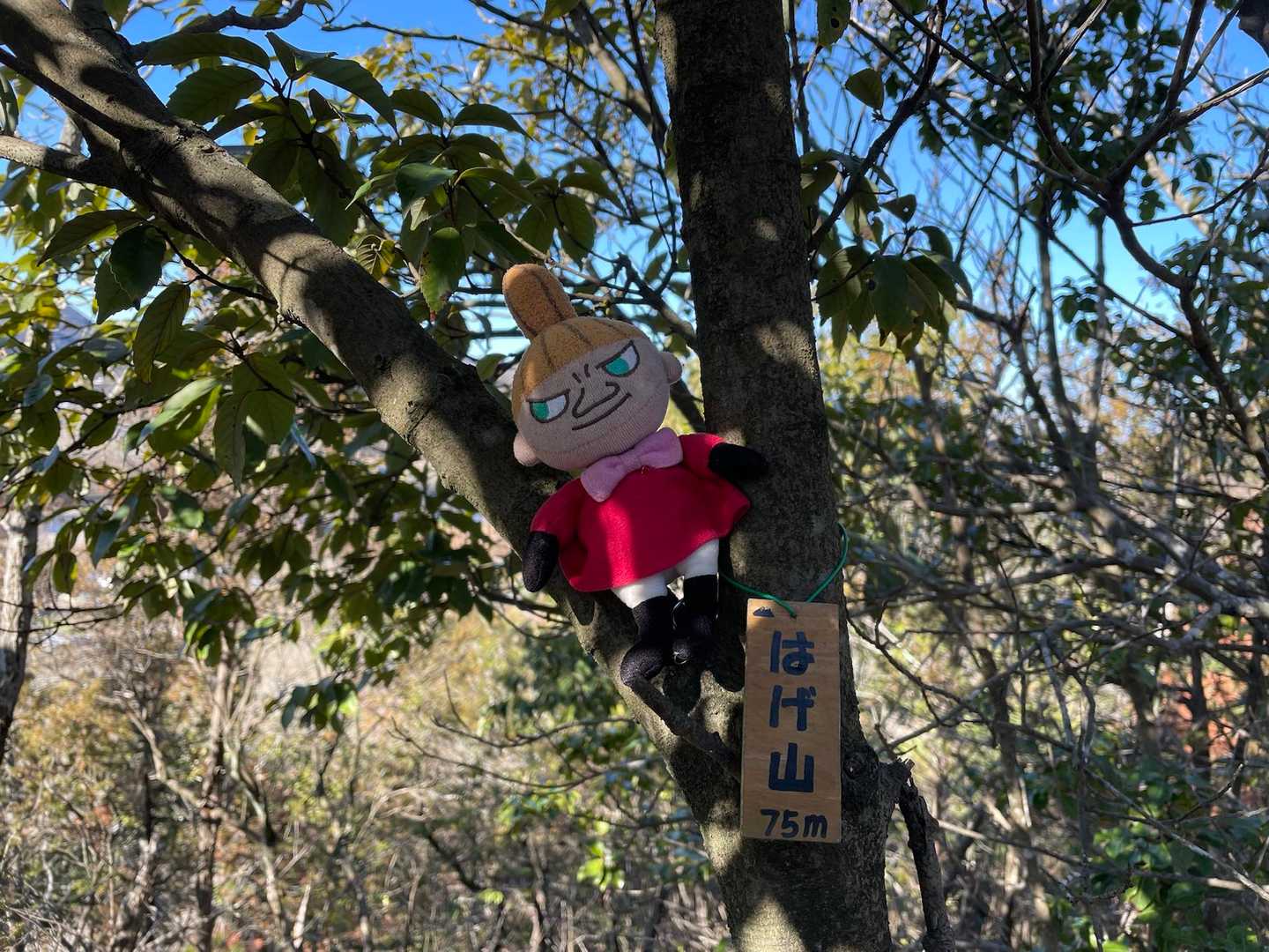 はげ山 登頂